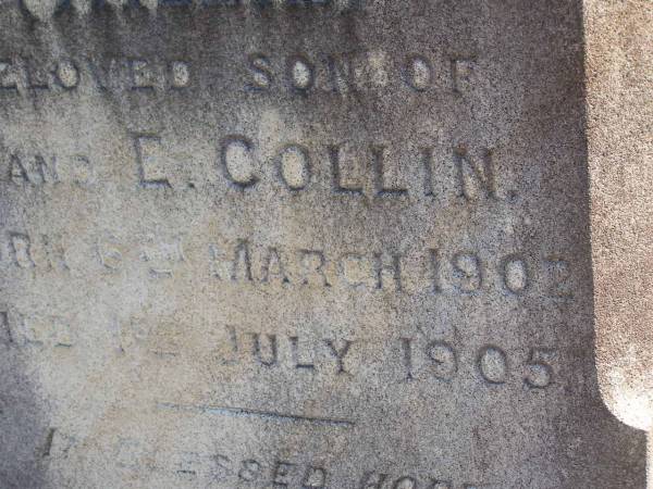 Willie,  | son of F. & E. COLLIN,  | born 6 March 1902,  | died 1 July 1905;  | Pimpama Island cemetery, Gold Coast  | 