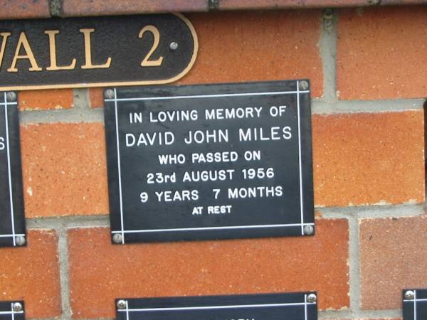 David John MILES,  | died 23 Aug 1956 aged 9 years 7 months;  | Pimpama Uniting cemetery, Gold Coast  | 