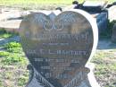 Ida E L MANTHEY
29 Sep 1939, aged 66
Plainland Lutheran Cemetery, Laidley Shire