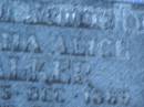 Martha Alice WALKER,
born 15 Dec 1869,
died 29 Feb 1964;
Polson Cemetery, Hervey Bay