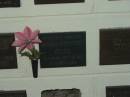 Hilma Dorothy GUSE,
died 1-1-1994 aged 80 years;
Polson Cemetery, Hervey Bay