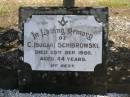 C. (Sugar) SCHIBROWSKI,
died 25 Sept 1950 aged 44 years;
Polson Cemetery, Hervey Bay