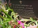 David Ivor JONES,
born Jan 1925 London,
died Aug 1997 Cedar Creek,
husband father poppa;
Samsonvale Cemetery, Pine Rivers Shire