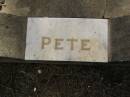 Peter RAMKEMA,
son brother uncle,
died 9 June 1960 aged 28 years;
Bald Hills (Sandgate) cemetery, Brisbane