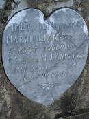 Harriet Jane (Tottie),
daughter of T.R.L. & M.J. ANDREWS,
died 16? June 1899 aged 14 years;
Bald Hills (Sandgate) cemetery, Brisbane