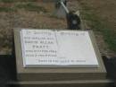 David Allan PRATT
died 21 Feb 1964 aged 2 yrs 9 mths
Sherwood (Anglican) Cemetery, Brisbane
