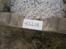 
baby ELLIS,
died 13 Nov 1954 aged 11 months;
Silverleigh Lutheran cemetery, Rosalie Shire
