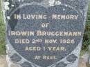 
Irdwin BRUGGEMANN,
died 2 Nov 1926 aged 1 year;
Silverleigh Lutheran cemetery, Rosalie Shire
