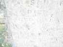 Harriet Mahala EASTWELL,
died 4 March 1891 aged 29 years;
Rupert John,
son,
died 8 June 1891 aged 3 years 9 months;
Swan Creek Anglican cemetery, Warwick Shire