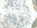Elizabeth,
wife of Addison FREE,
died 22 Jan 1898 aged 57 years;
Swan Creek Anglican cemetery, Warwick Shire