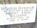 Robert Angus GILLESPIE,
son brother,
died 21 April 1951 aged 16 years;
Swan Creek Anglican cemetery, Warwick Shire
