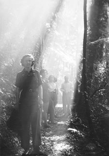 Bushwalking at Coomera Gorge, Lamington National Park 1938