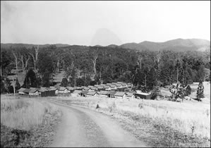 Displaced persons temporary forestry camps