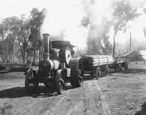 Steam tractor hauls hoop pine