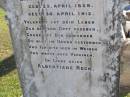 Ernst Wilhelm RECK,
born 23 April 1928 died 30 April 1912,
dear? Albertiene RECK;
Tarampa Apostolic cemetery, Esk Shire