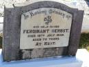 Ferdinant HERBST, father,
died 18 July 1939 aged 75 years;
Tarampa Apostolic cemetery, Esk Shire