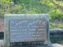 Christine Ann JONES,
daughter,
died 9 Nov 1973 aged 23 years;
Tea Gardens cemetery, Great Lakes, New South Wales