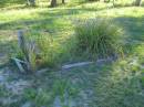 Tea Gardens cemetery, Great Lakes, New South Wales