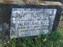 Alice Ann HILL,
mother,
died 2 Sept 1952 aged 75 years;
Tea Gardens cemetery, Great Lakes, New South Wales