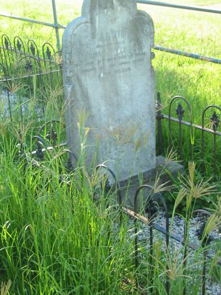 Annie, wife of David SAVILLE,  | died 31 July 1907 aged 28? years;  | erected by father John WILSON;  | Wilson Family Private Cemetery, The Risk via Kyogle, New South Wales  | 