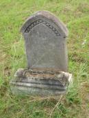 Emily,
daughter of John & Mary ELLIS,
died ???? 1889;
Tiaro cemetery, Fraser Coast Region