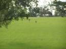 Tiaro cemetery, Fraser Coast Region