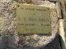 A.V. (Vic) DAKIN,
22-2-1917 - 16-11-1985;
Tiaro cemetery, Fraser Coast Region