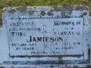 Theo JAMIESON,
husband,
died 28 Jan 1958 aged 67 years;
Maryann JAMIESON,
wife
died 29 Sept 1974 aged 80 years;
Tiaro cemetery, Fraser Coast Region