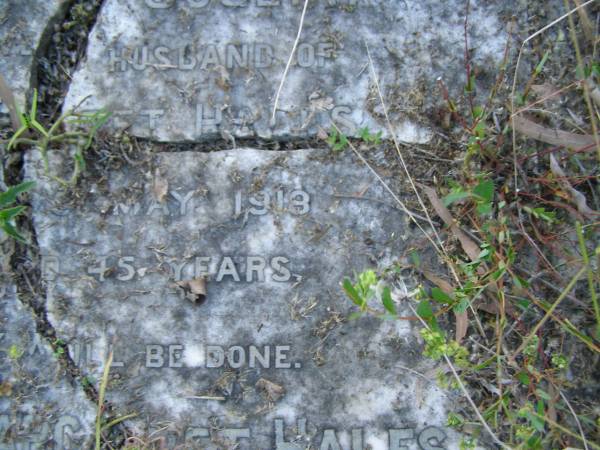 Robert Joseph,  | husband of Margaret HALES,  | died 5 May 1918 aged 45 years;  | Margaret HALES,  | died 4 Nov 1944 aged 82 years;  | Tiaro cemetery, Fraser Coast Region  | 