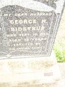 Jane BIDSTRUP,
mother,
died 28 May 1952 aged 70 years;
George H. BIDSTRUP,
husband,
died 10 Sept 1950 aged 72 years;
Warra cemetery, Wambo Shire