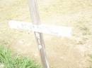 Richard MAGUIRE,
??-3-1878 - 4-7-1956;
Warra cemetery, Wambo Shire