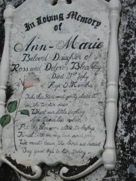 Ann-Marie, daughter of Ross & Deloros BLEAKLEY,  | died 21 July aged 5 months;  | Woodford Cemetery, Caboolture  | 