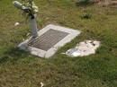 Kaylene Mary WILSON
b: 11 Jun 1960, d: 18 Jul 2002
(husband: Andy, mother of Jack, Riley)
Woodhill cemetery (Veresdale), Beaudesert shire