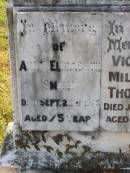 Annie Elizabeth Smith
22 Sep 1965, aged 75
Victoria Millicent Thompson
21 Jan 1970, aged 83
Woodhill cemetery (Veresdale), Beaudesert shire