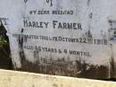 Harley FARMER,
husband,
died 22 Oct 1918 aged 43 years 4 months;
Yangan Anglican Cemetery, Warwick Shire