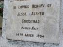 Jesse Alfred CHRISTMAS,
dad,
died 14 March 1954;
Yangan Anglican Cemetery, Warwick Shire