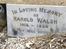 
Harold WALSH,
1912 - 1934;
Yangan Presbyterian Cemetery, Warwick Shire
