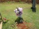 
Beryl Edith GREEN (nee STIMPSON),
8-11-1930 - 4-1-2008,
mother mother-in-law grandmother great-grandmother;
Yarraman cemetery, Toowoomba Regional Council

